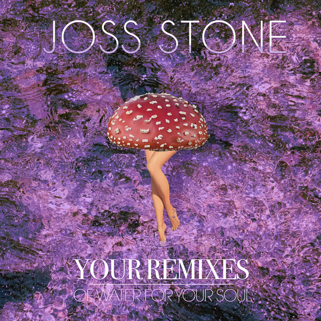 Your Remixes of Water For Your Soul album cover