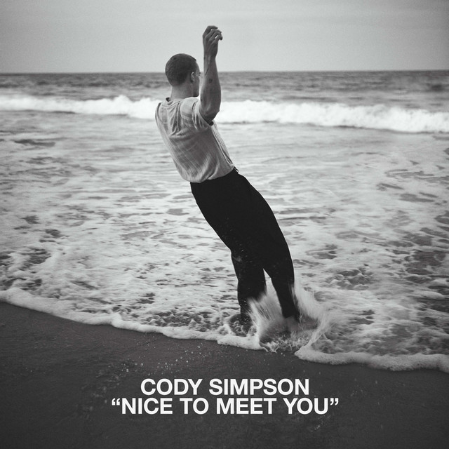 Shure SM7B as heard on Nice to Meet You by Cody Simpson (2022)