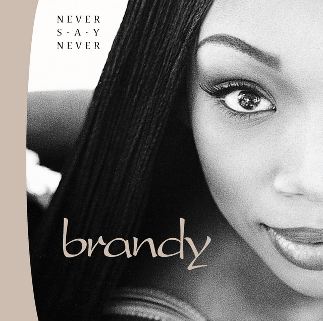 Never Say Never album cover