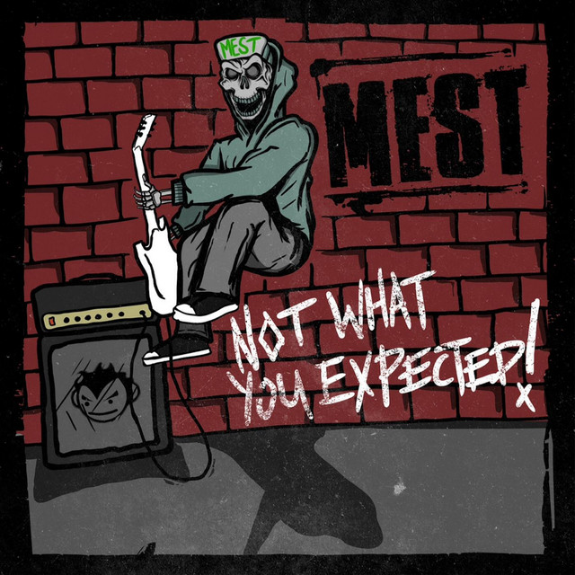 Not What You Expected album cover