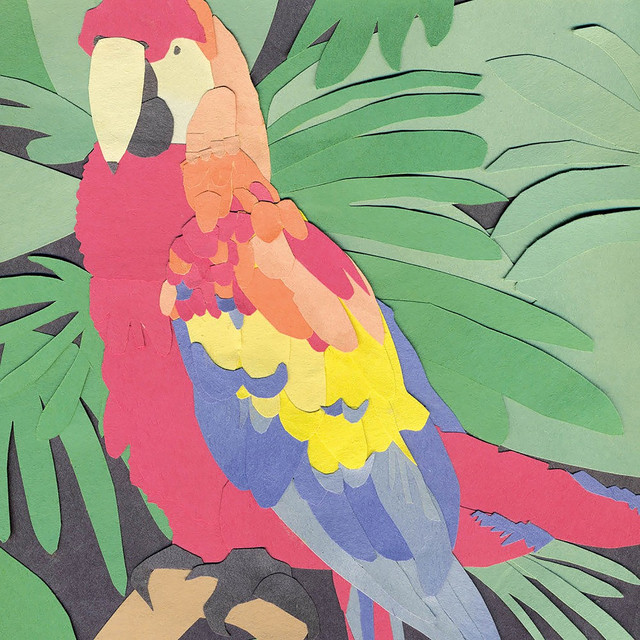 Parrot Flies album cover
