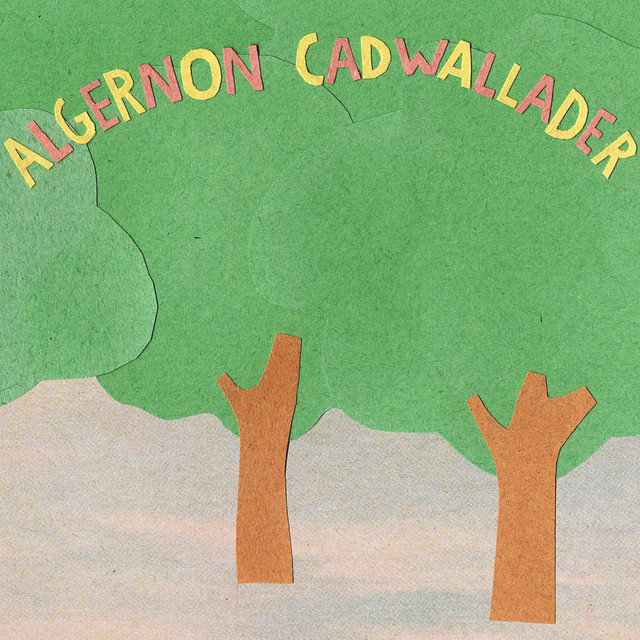 Some Kind of Cadwallader album cover