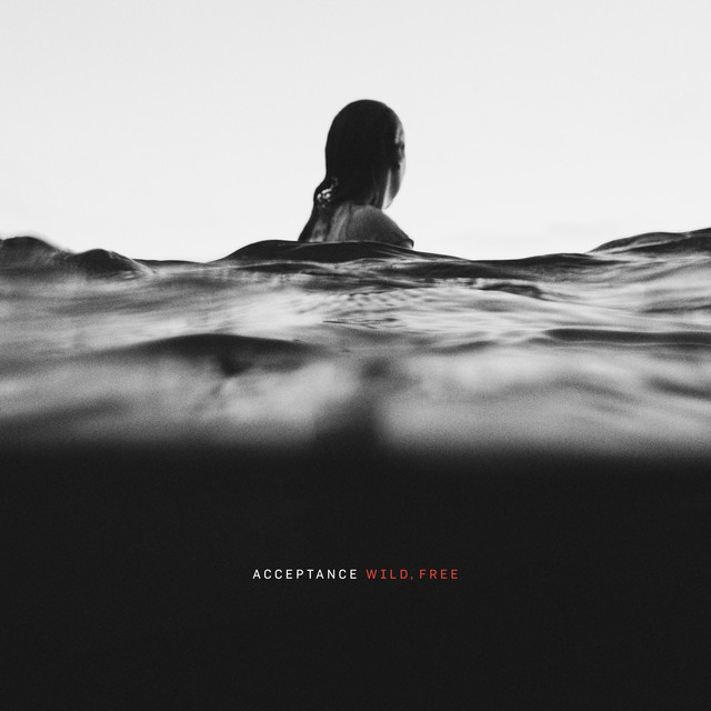 Wild, Free album cover