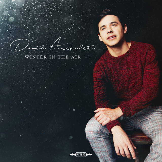 Winter in the Air album cover