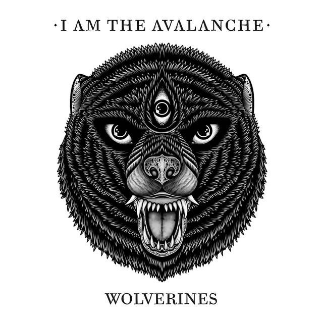 Wolverines album cover