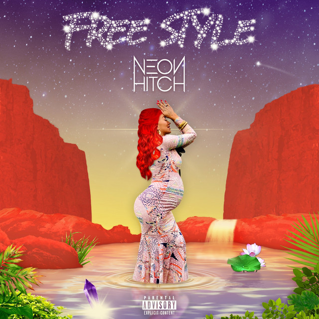 Free Style album cover