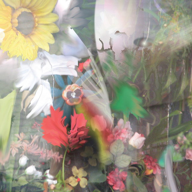 Flowers album cover