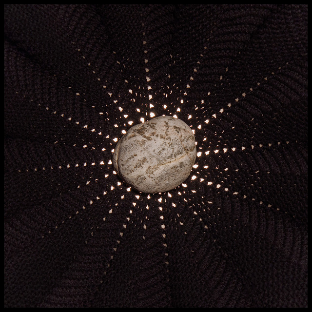 In The Hollows album cover