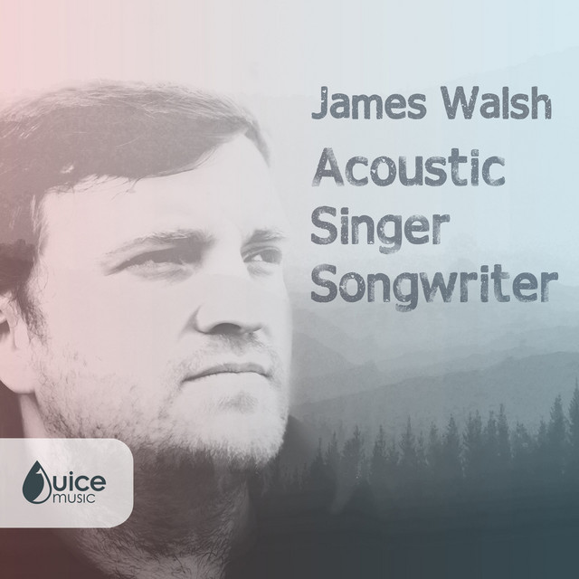 Acoustic Singer Songwriter album cover