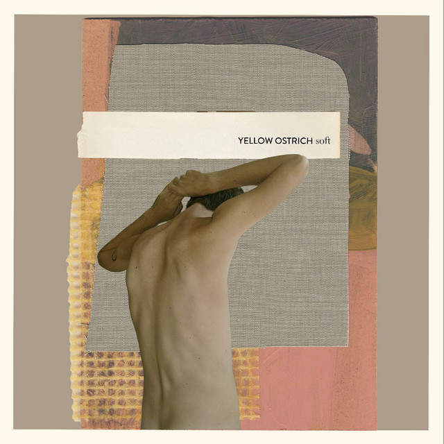 Soft album cover