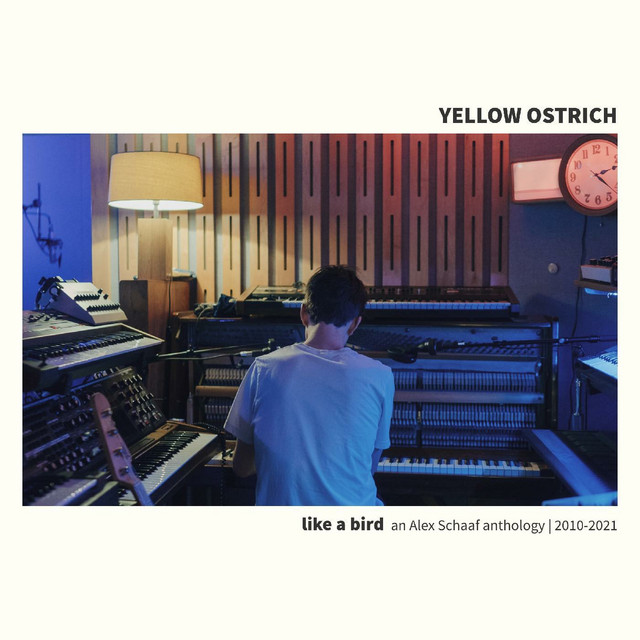 Like a Bird: An Alex Schaaf Anthology (2010-2021) album cover