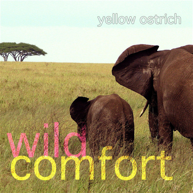 Wild Comfort album cover