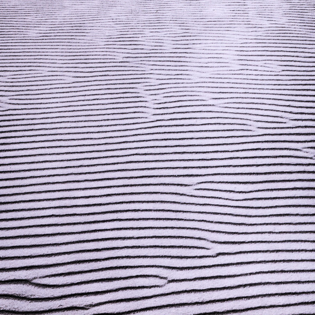 Only Water album cover