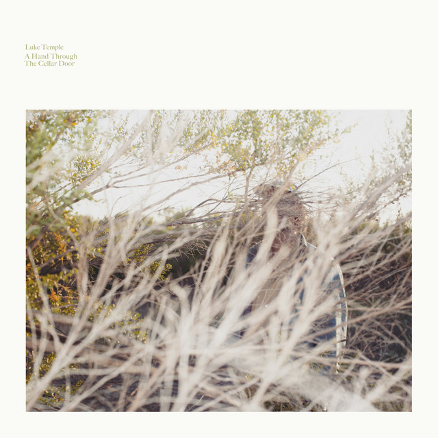 A Hand Through the Cellar Door album cover