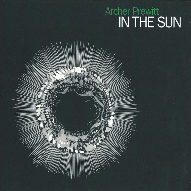 In the Sun album cover