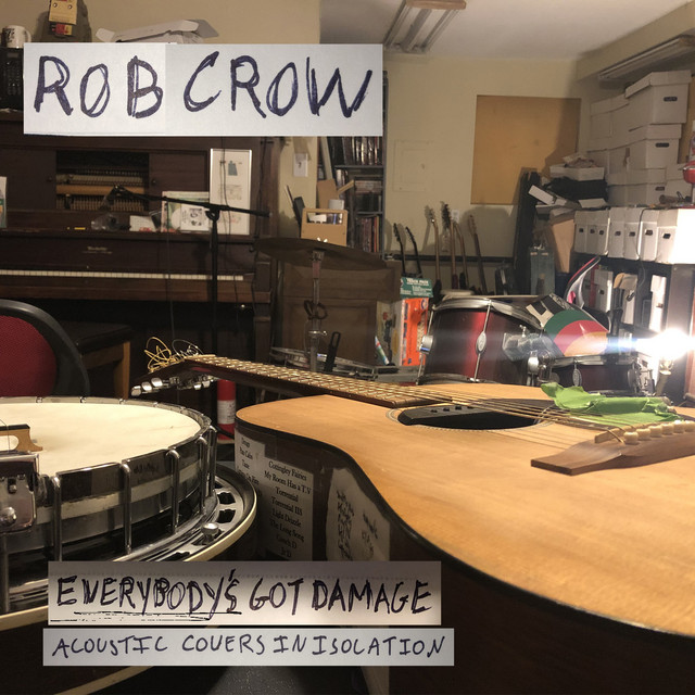 Everybody's Got Damage album cover