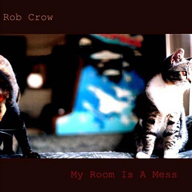 My Room Is A Mess album cover