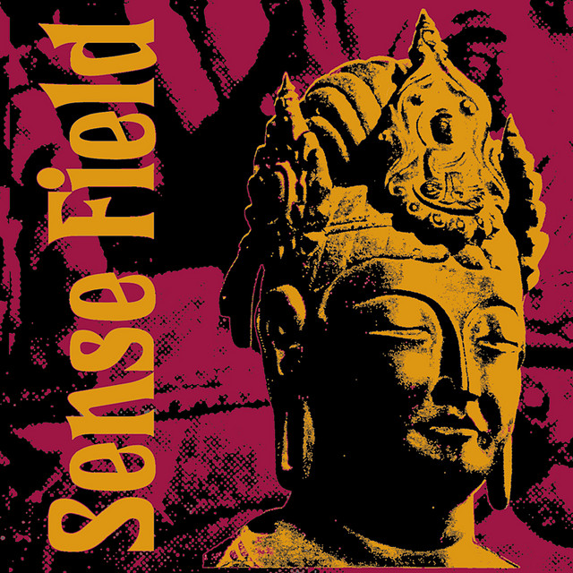 Sense Field album cover