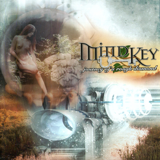 Journey Of A Rough Diamond album cover