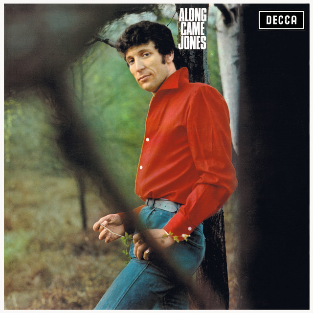 Along Came Jones album cover
