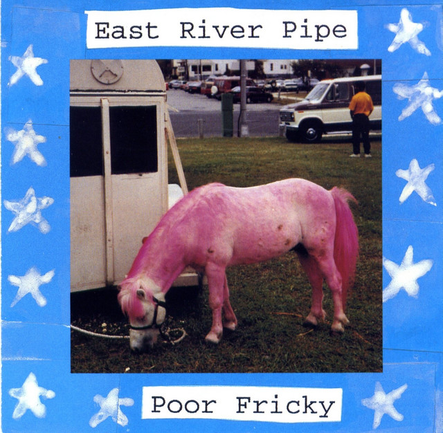 Poor Fricky album cover