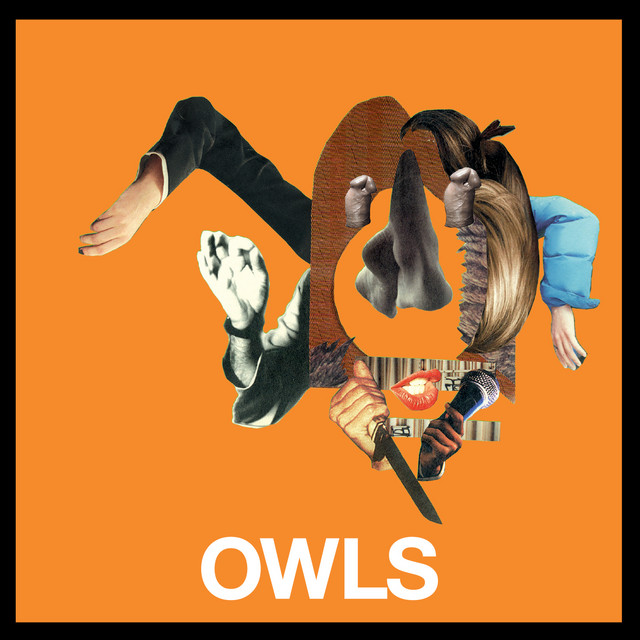 Owls album cover