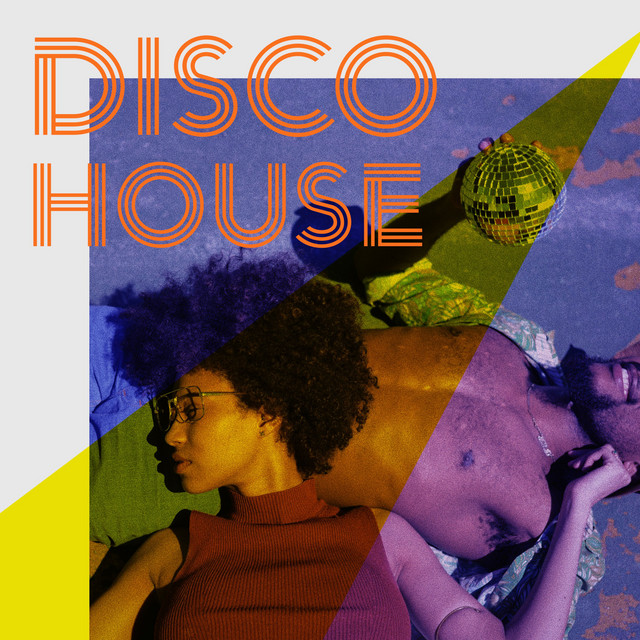 Disco House album cover