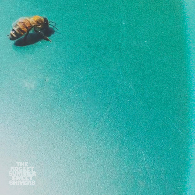 Sweet Shivers album cover