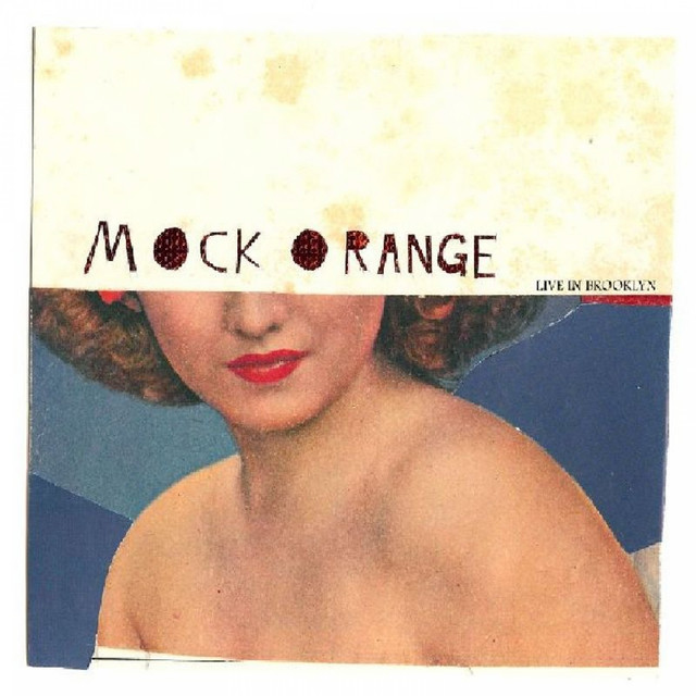 Live in Brooklyn album cover