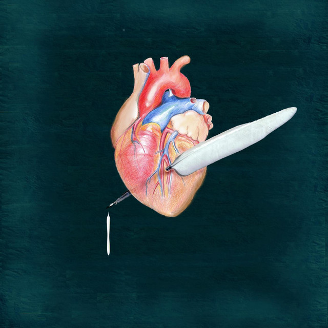 Sonnet 155 album cover