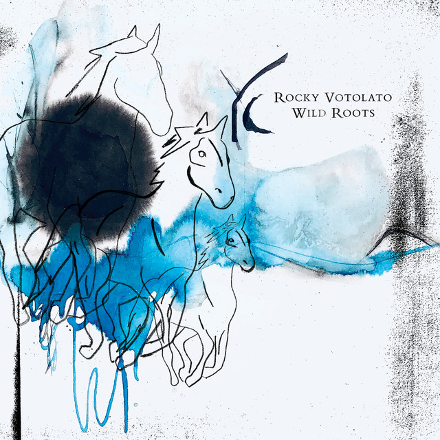 Wild Roots album cover