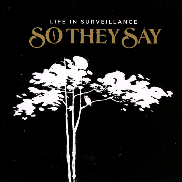 Life In Surveillance album cover