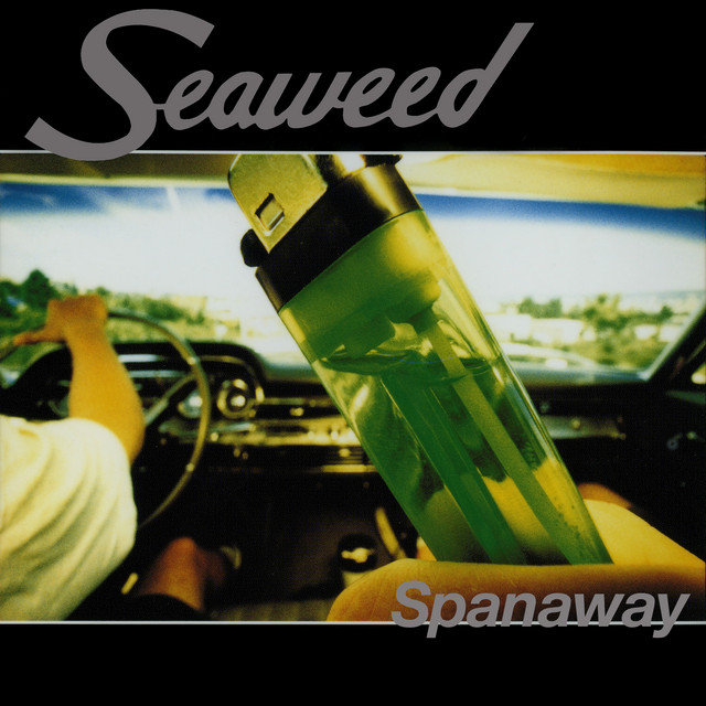 Spanaway album cover