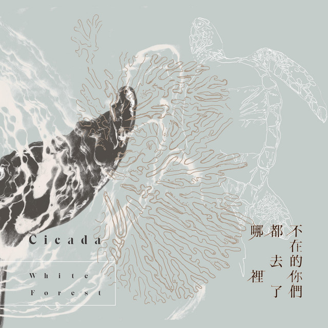 不在的你們都去了哪裡 album cover