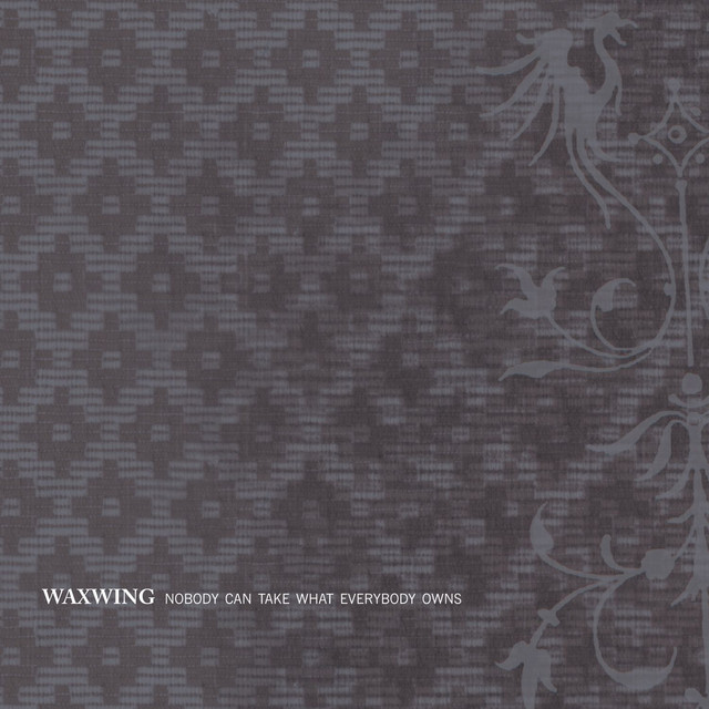 Nobody Can Take What Everybody Owns album cover