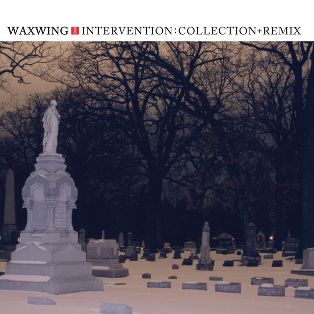 Intervention: Collection + Remix album cover