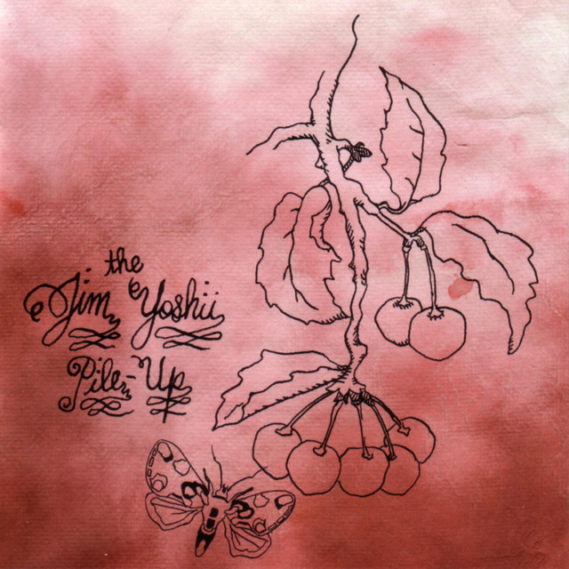 Picks Us Apart album cover
