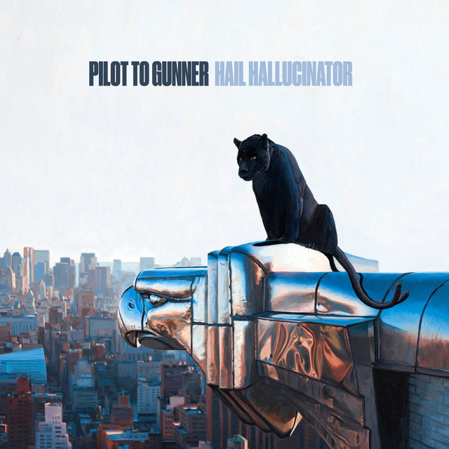 Hail Hallucinator album cover