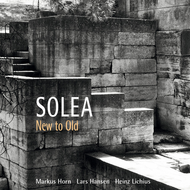 New to Old (feat. Markus Horn, Lars Hansen, Heinz Lichius) album cover