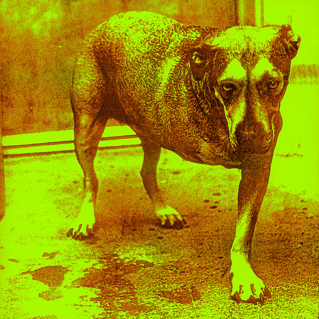 G&L Rampage as heard on Alice In Chains by Alice in Chains (1995)