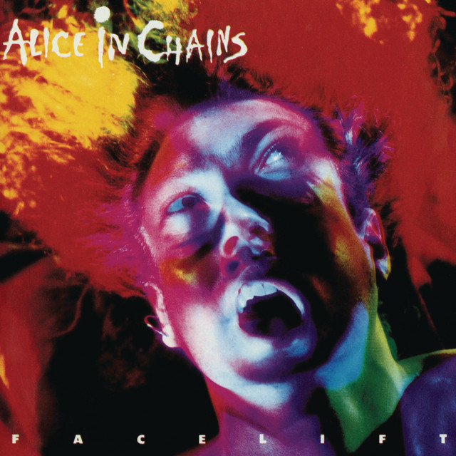 Ampeg SVT-810E 8x10 Bass Cabinet as heard on Facelift by Alice in Chains (1990)
