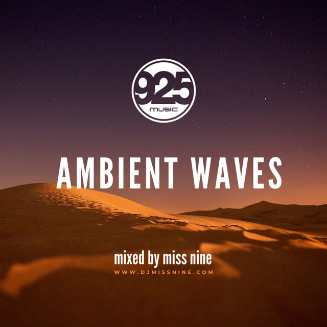 Ambient Waves (DJ Mix) album cover