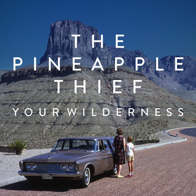 Your Wilderness album cover