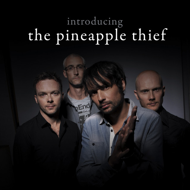 Introducing... The Pineapple Thief album cover