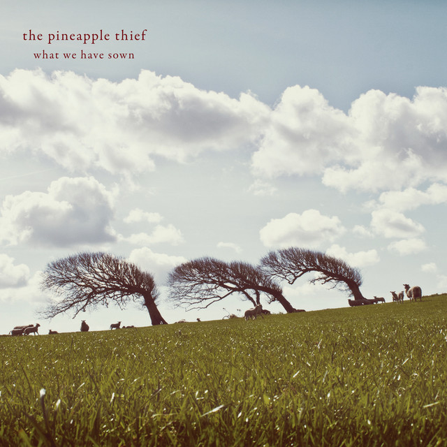 What We Have Sown (Remastered) album cover