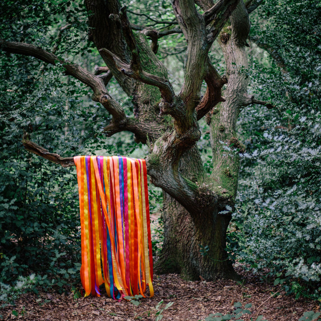The Animal Spirits album cover
