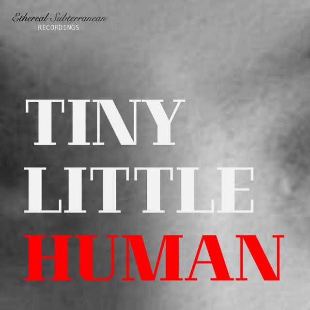Tiny Little Human album cover