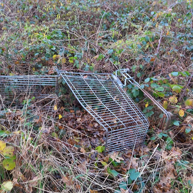 An Album about a shopping trolley album cover