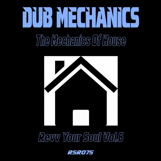 The Mechanics Of House - Revv Your Soul, Vol.6 album cover