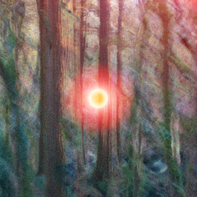 Requiem album cover